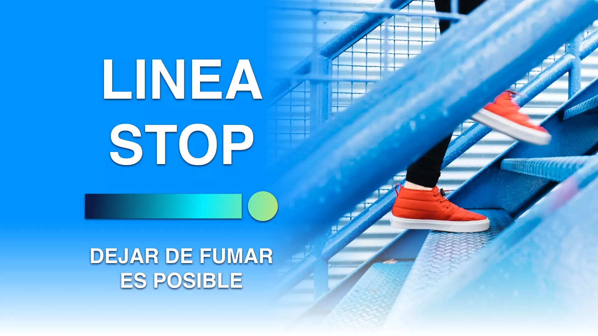 Linea Stop Preview